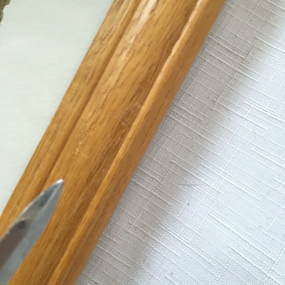 Martha Hinson Framed BEET Tinted Etching Artist Signed Numbered 3080/4950 LMT ED - Picture 8 of 10